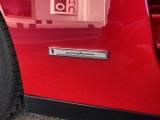 FERRARI Testarossa cat